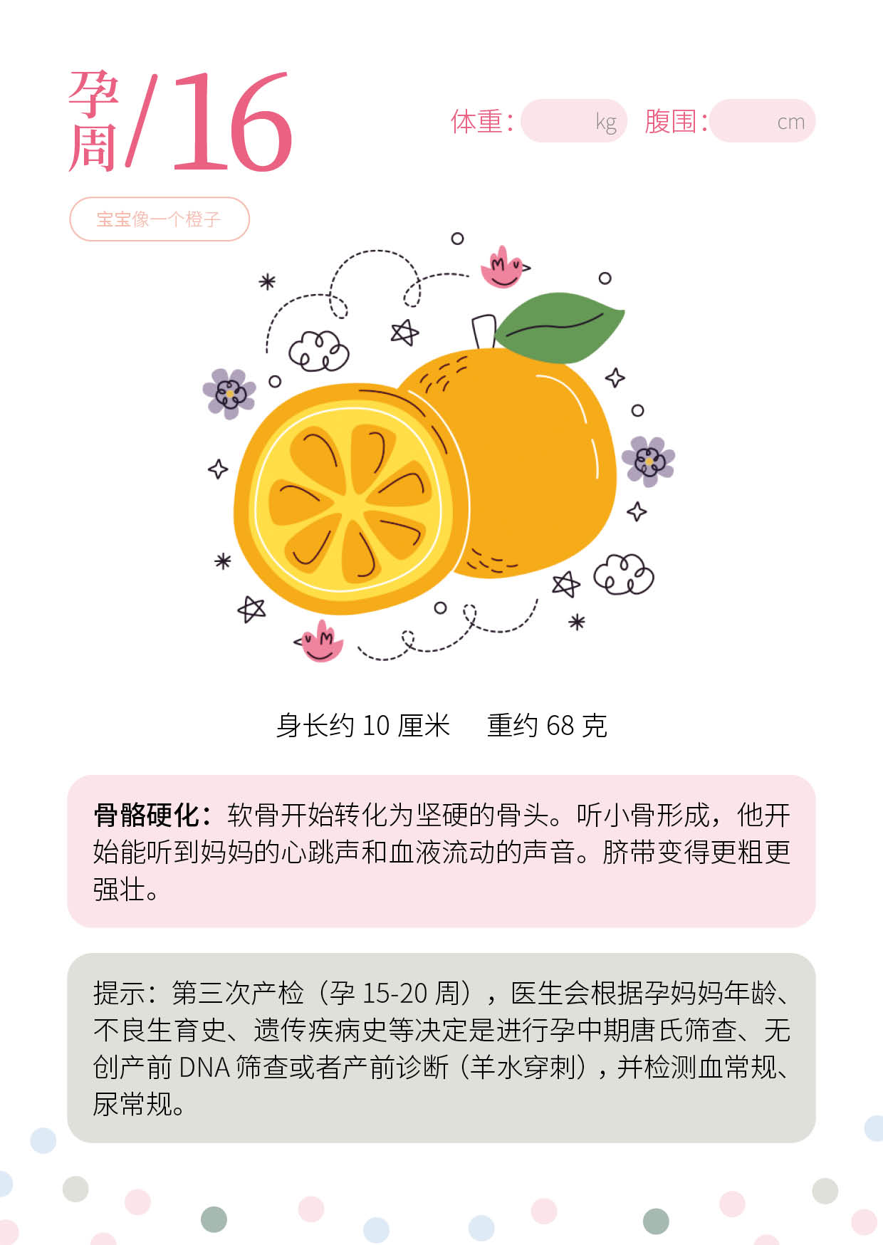 孕期知识页面