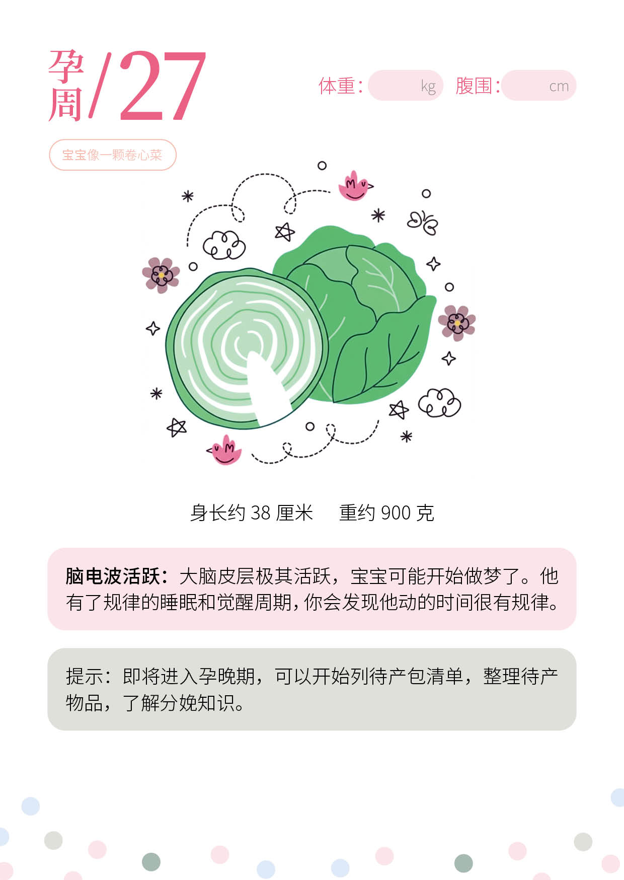 孕期日历细节